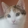 Katy Katze Miglena